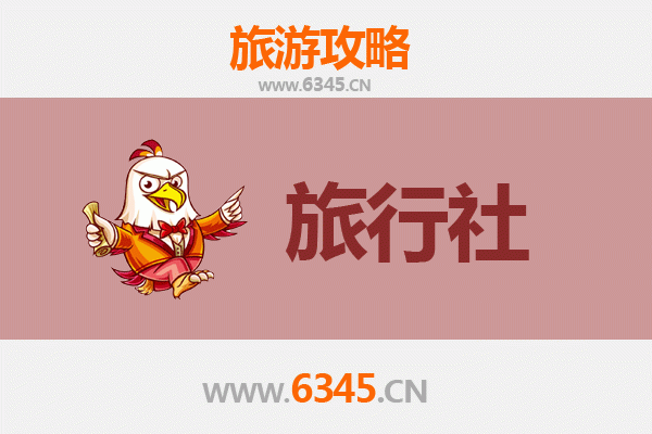 东方东河镇本地旅行社推荐：探索秘境之旅的完美向导