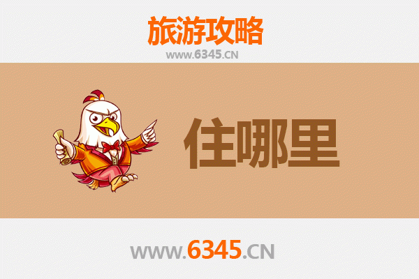 东方东河镇住宿全攻略：沉浸黎族风情，邂逅雨林秘境